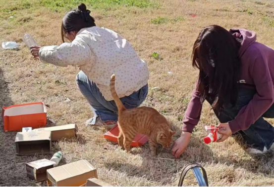 今晚买四不像必中