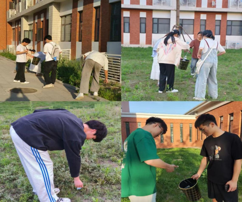 今晚买四不像必中