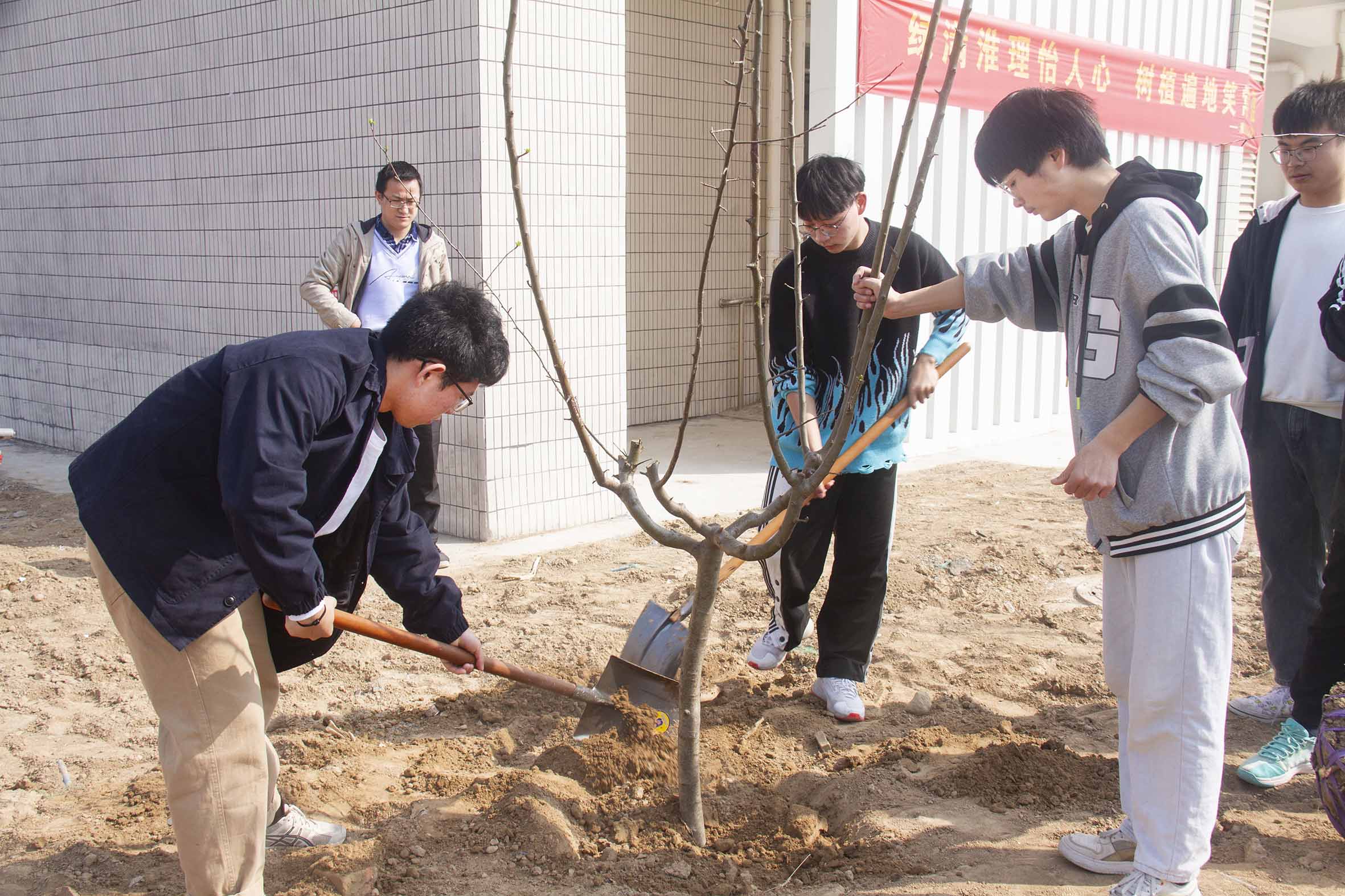 今晚买四不像必中