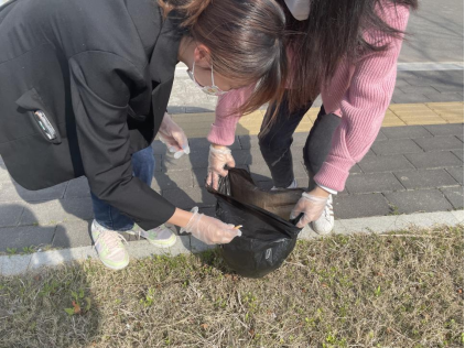 今晚买四不像必中