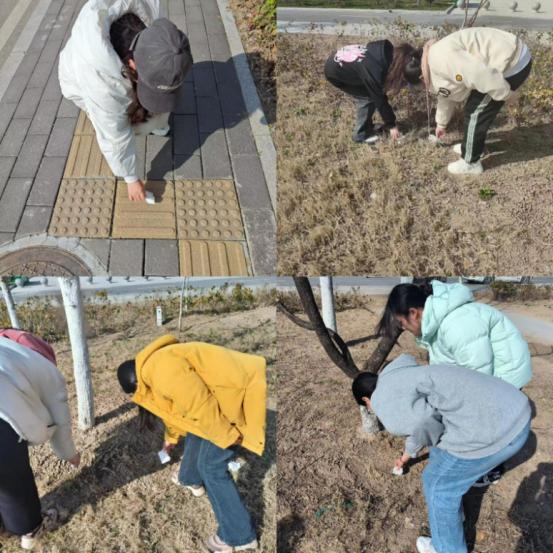 今晚买四不像必中